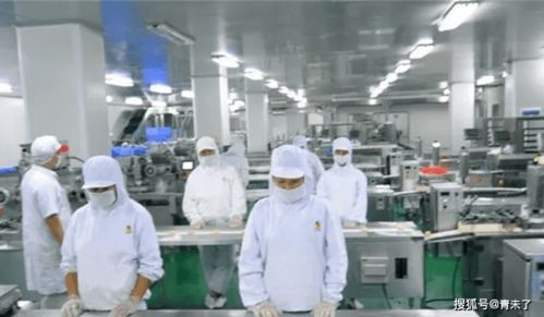 食品廠霉菌控制與互聯(lián)網(wǎng)銷售的安全管理策略