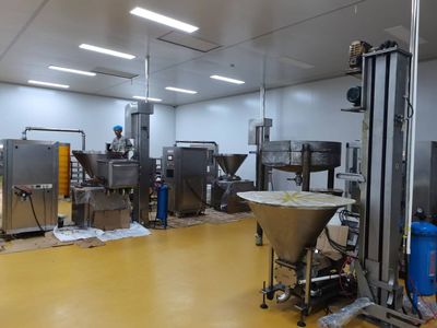 走在前 開新局丨泰安 年產3萬噸天然食品餡料產業基地項目建成，賦能食品互聯網銷售新格局